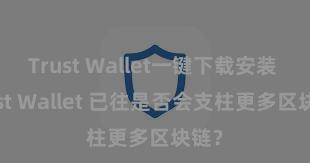 Trust Wallet一键下载安装 Trust Wallet 已往是否会支柱更多区块链？