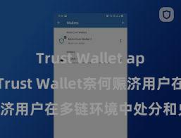 Trust Wallet app如何下载 Trust Wallet奈何赈济用户在多链环境中处分和兑换金钱？