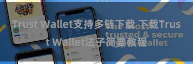 Trust Wallet支持多链下载 下载Trust Wallet法子简要教程