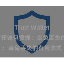 Trust Wallet Mac版 信任钱包撑抓：幸免丢失的有用法式